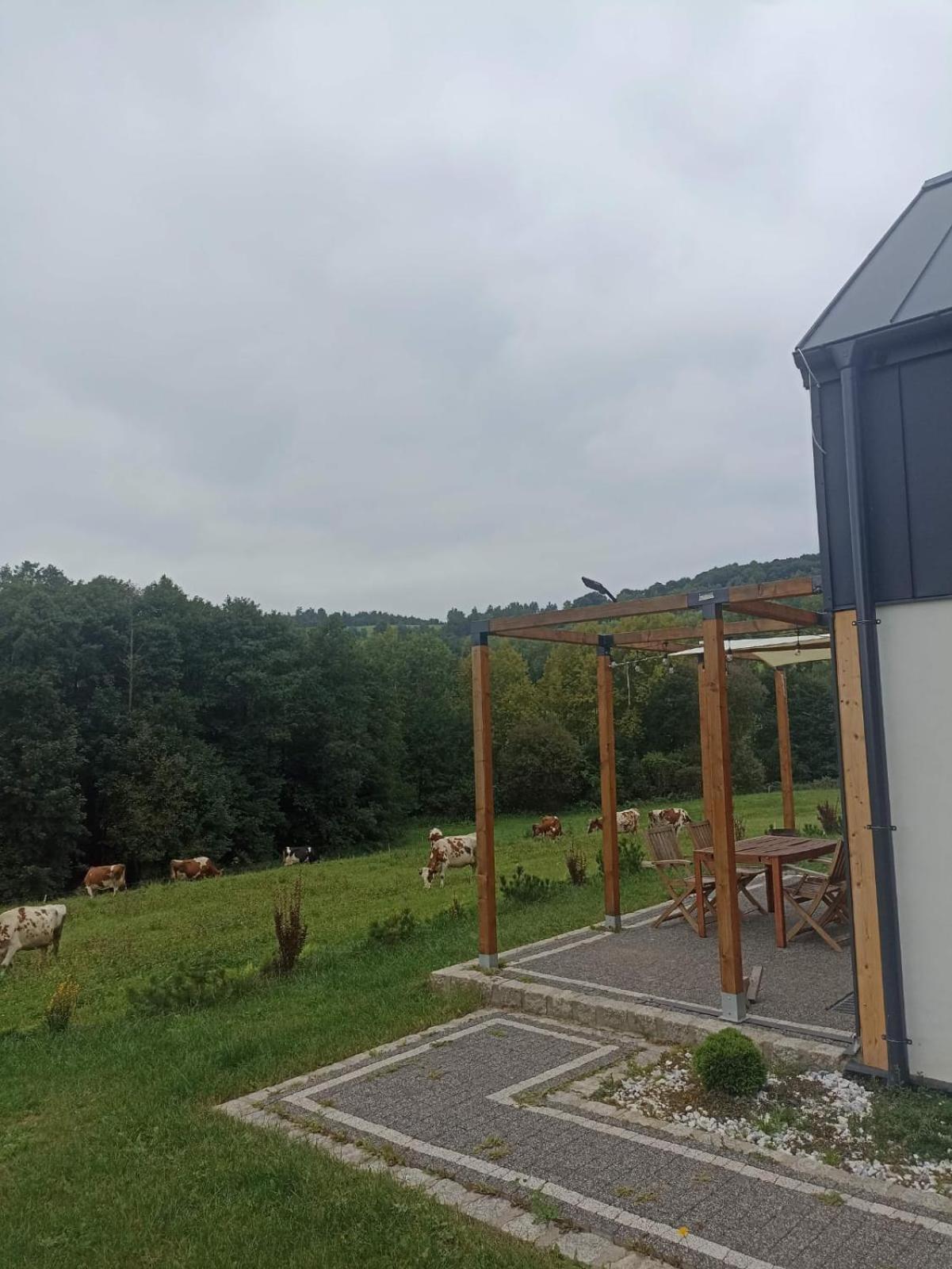 Maraska Holiday House Kamienna Gora Exterior photo
